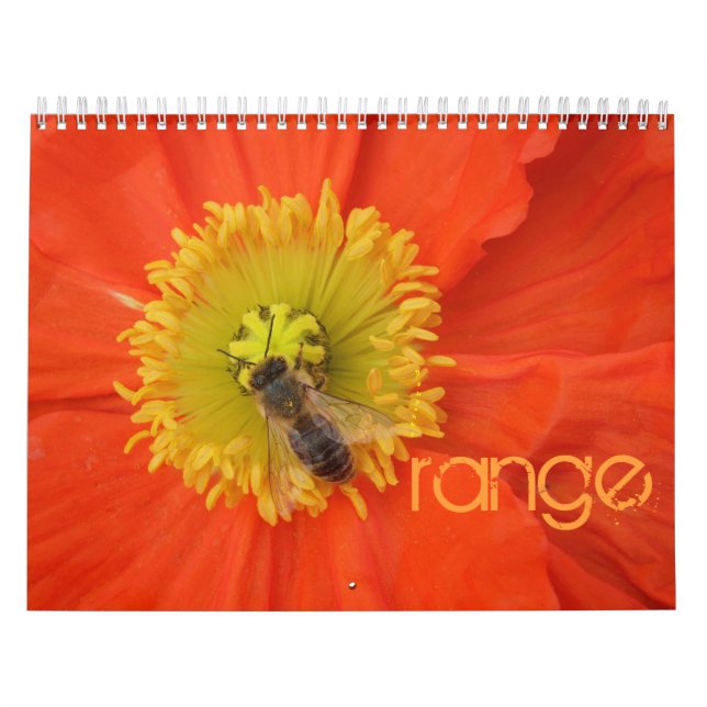 2016 i färg - kalender (Omslag)