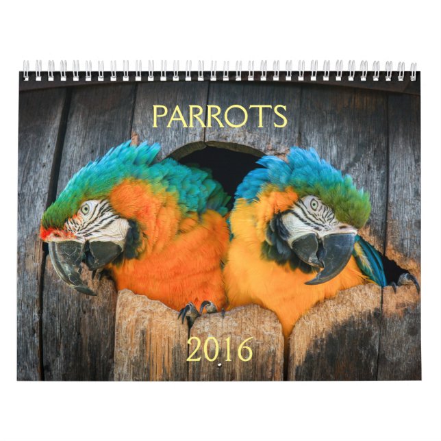 2016 kalender av papegojor, macaw, amazon, (Omslag)