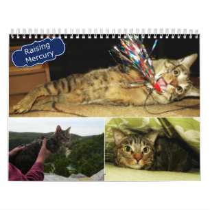 2016 lyftande Mercurykalender Kalender