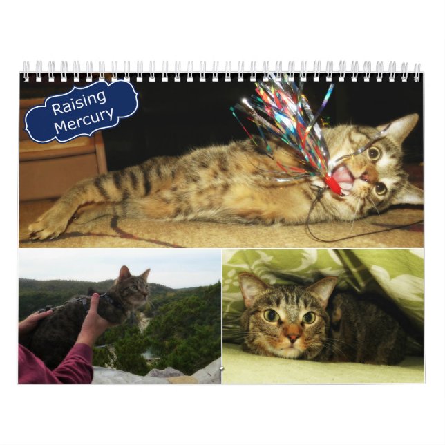2016 lyftande Mercurykalender Kalender (Omslag)
