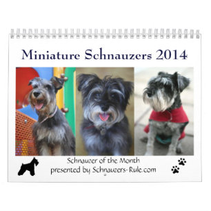 2016 mini- Schnauzerkalender Kalender