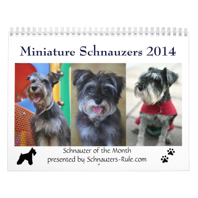 2016 mini- Schnauzerkalender Kalender (Omslag)