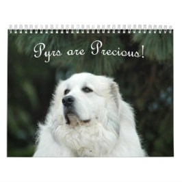 2016 underbara Pyrenees kalender