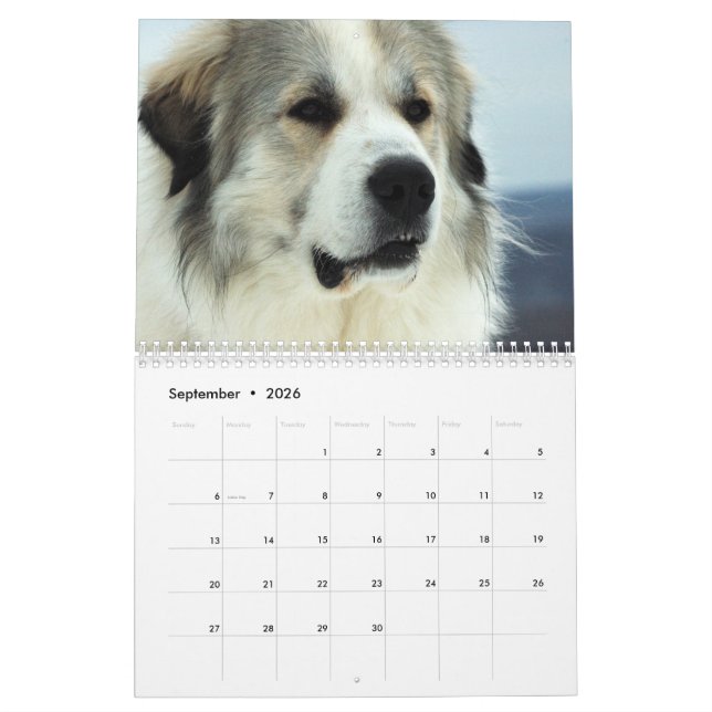 2016 underbara Pyrenees valpkalender Kalender (Sep 2026)