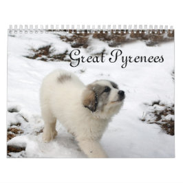2016 underbara Pyrenees valpkalender Kalender