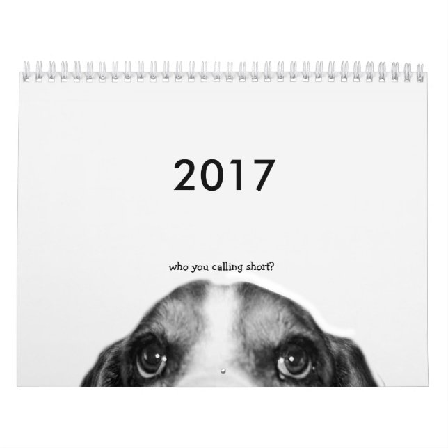 2017 Basset Hound Calendar Kalender (Omslag)