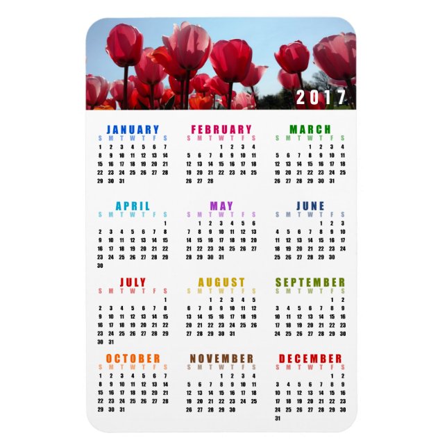 2017 Calendar Magnet - Rosa Peach Tulips Garden (Vertikal)