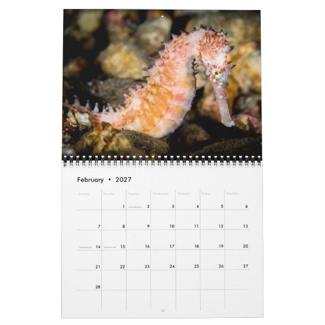2017 Calendar Underseas Kalender (Feb 2027)