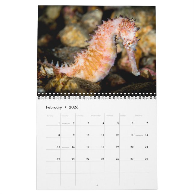 2017 Calendar Underseas Kalender (Feb 2026)