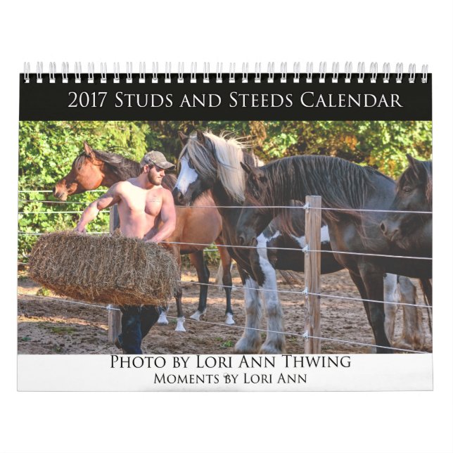 2017 dubbar och Steedskalendern Kalender (Omslag)