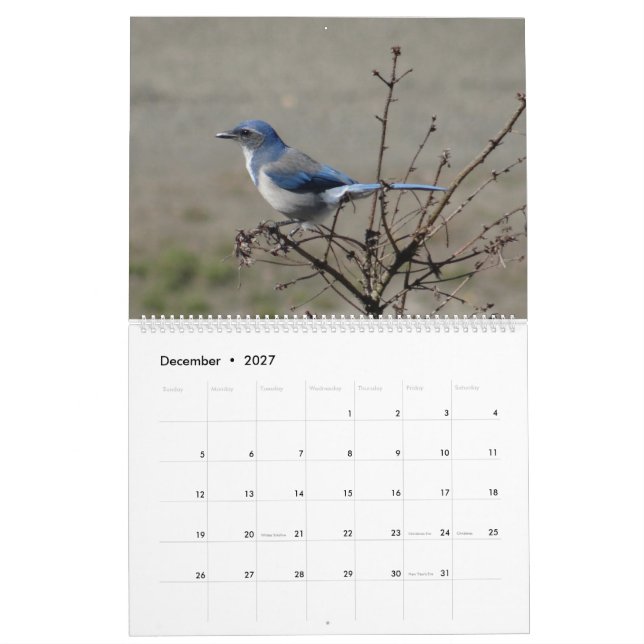 2017 fåglar av Nordamerika Kalender (Dec 2027)