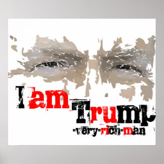 2017 Gör Amerika Underbart igen Poster