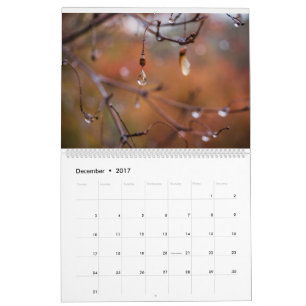 2017 kalender, foto av Eric Johnson Kalender