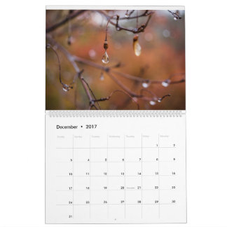 2017 kalender, foto av Eric Johnson Kalender