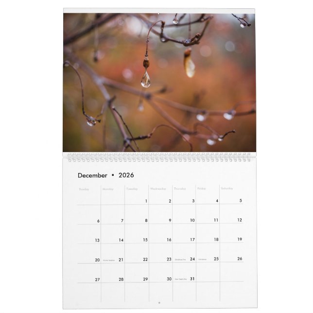 2017 kalender, foto av Eric Johnson Kalender (Dec 2026)