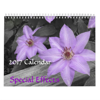 2017 Kalender-Specialeffektkalender Kalender