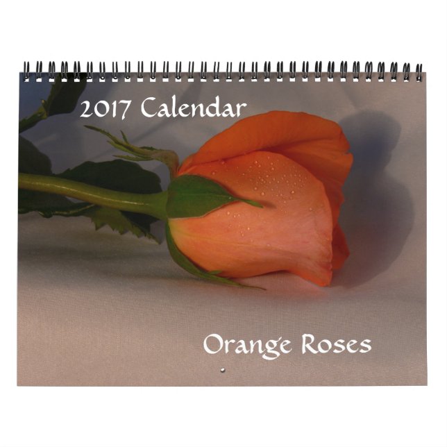 2017 Kalendern-Orange Rosor Kalender (Omslag)
