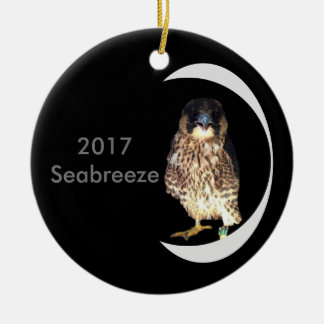 2017 Keramisk Juldekoration Seabreeze