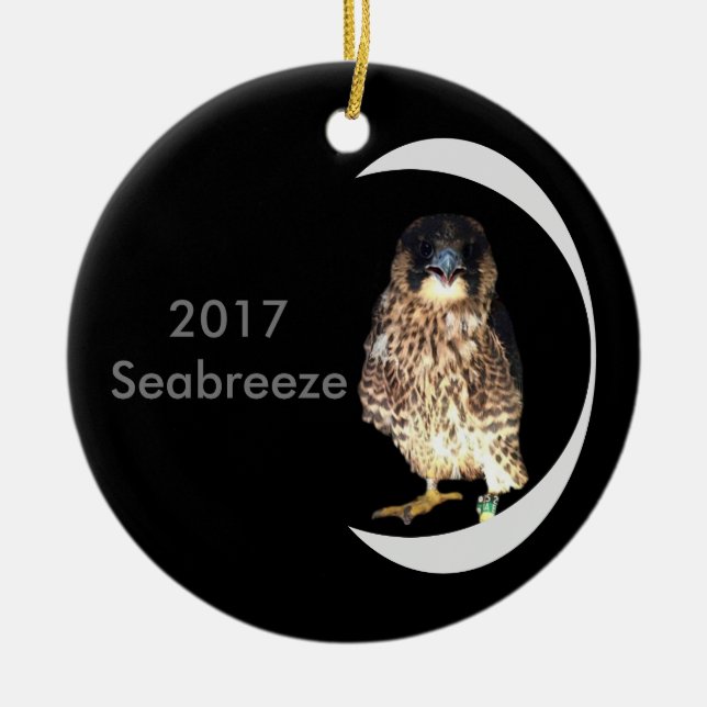 2017 Keramisk Juldekoration Seabreeze (Framsidan)