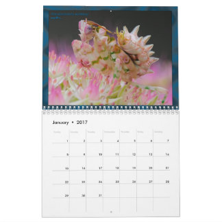 2017 medel/stor MANTIDFORUM-kalender Kalender