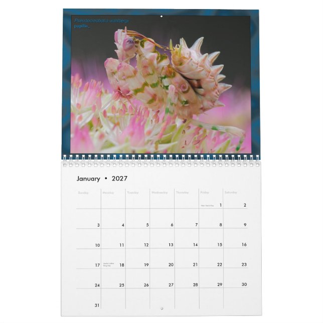 2017 medel/stor MANTIDFORUM-kalender Kalender (Jan 2027)
