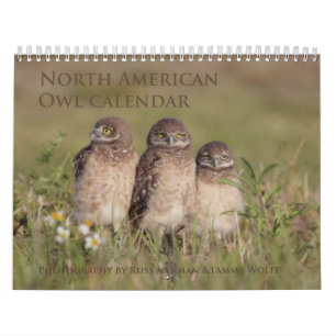 2017 norr - kalender för amerikanugglavägg