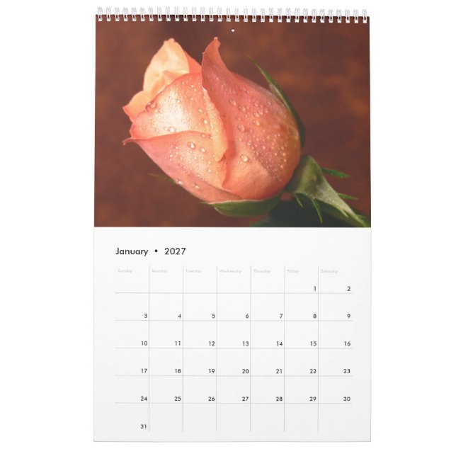 2017 Rose Enkel Kalendergott Kalender (Jan 2027)