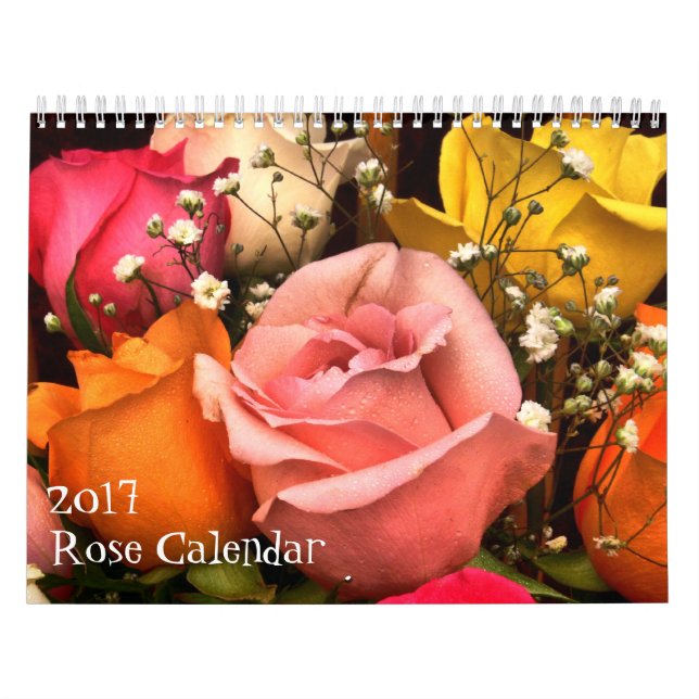 2017 Roskalender Kalender (Omslag)