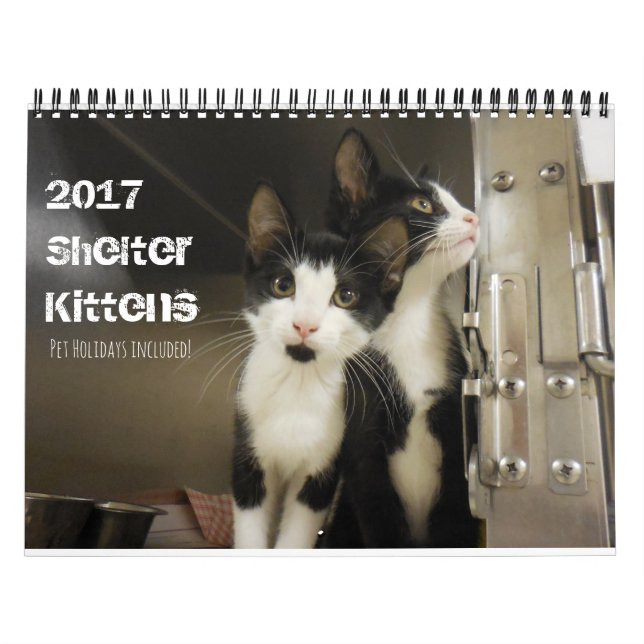 2017 Shelter Kittens Kalender (Omslag)