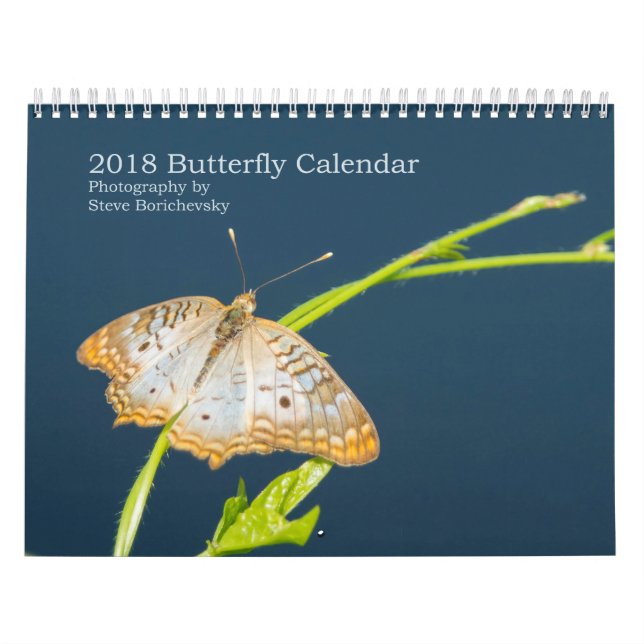 2018 års fjärilskalender kalender (Omslag)