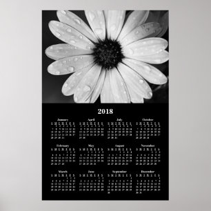 2018 års Poster av Wall Calendar African Daisy