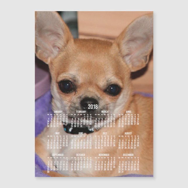 2018 Calendar Chihuahua Magnetic Photo Card 5x7 (Framsida)