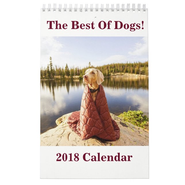 2018 det bäst av hundar! Kalender (Omslag)