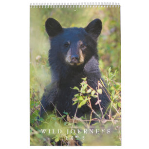 2018 djurlivväggkalender - djurlivfotografi kalender