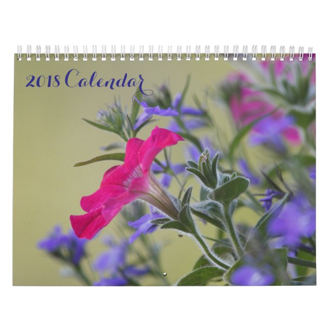 2018 Fullt Page Bilder Kalender (Omslag)