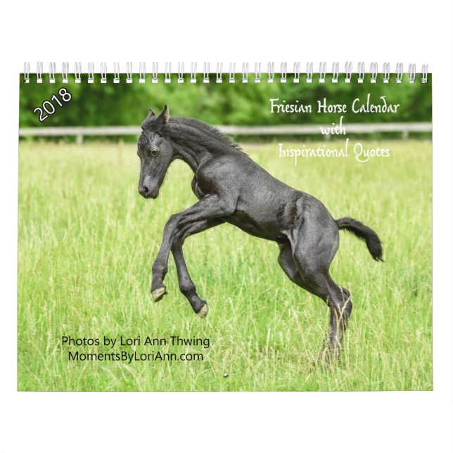 2018 inspirera Friesianhästkalender Kalender (Omslag)