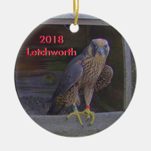 2018 Keramisk juldekoration Letchworth