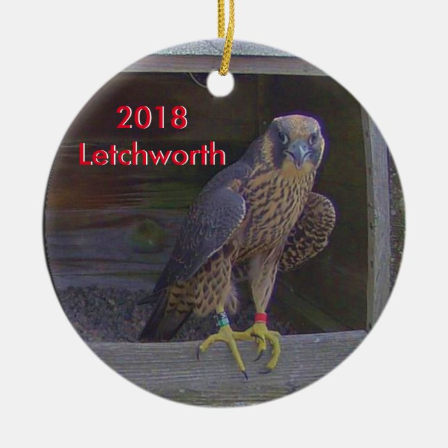 2018 Keramisk juldekoration Letchworth (Framsidan)