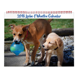 2018 Leeloo & Winston Large 2-sidig kalender