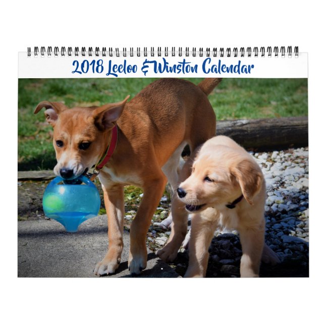 2018 Leeloo & Winston Large 2-sidig kalender (Omslag)