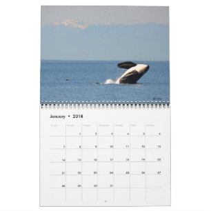 2018 sydliga invånarespäckhuggarekalender kalender
