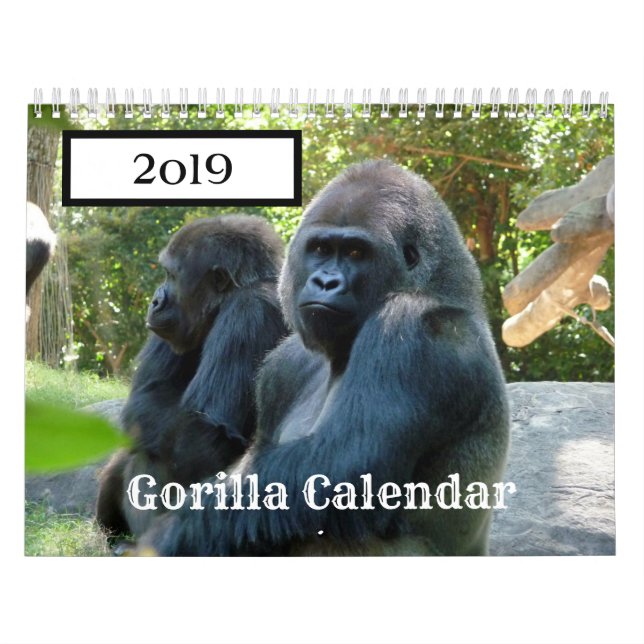 2019 års Gorilla-kalender Kalender (Omslag)