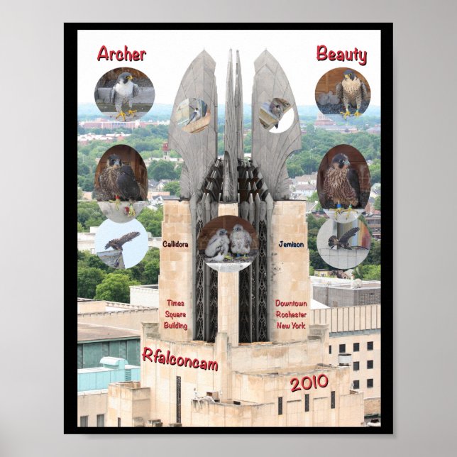 2019 Beauty och Archer 8x10 Poster på Times Square (Framsidan)