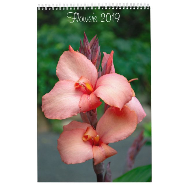 2019 Flowers Wall Calendar av Lisa Blake Kalender (Omslag)