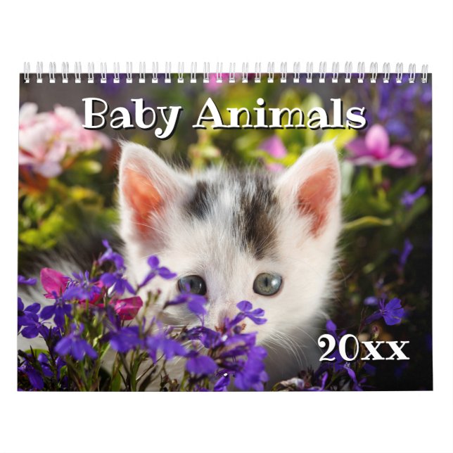 2019 förtjusande baby djur kalender (Omslag)
