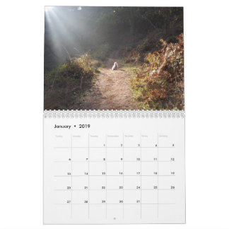 2019 Gwendolyn kalender - medel