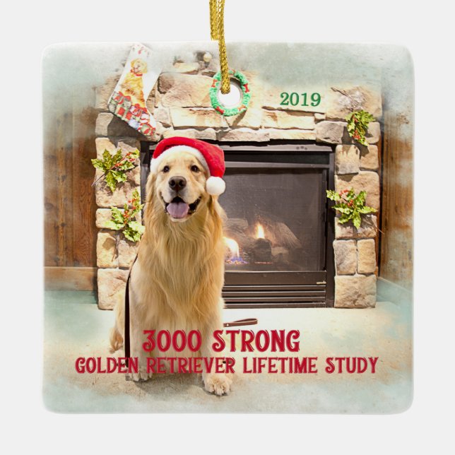 2019 Juldagen - 3000 Stark Julgransprydnad Keramik (Framsida)