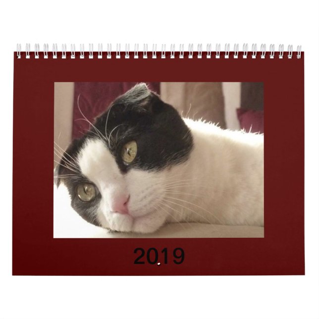 2019 kattkalender - skotskt veck kalender (Omslag)