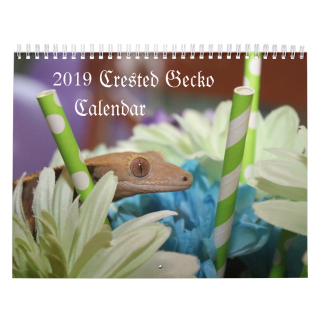 2019 krönad Geckokalender Kalender (Omslag)