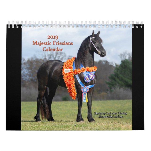 2019 majestätiska Friesianskalender Kalender (Omslag)